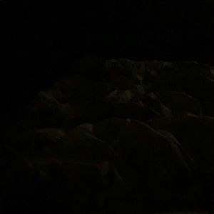 Meet your Posher, Zuleima